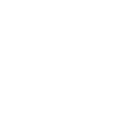 Bed Bugs
